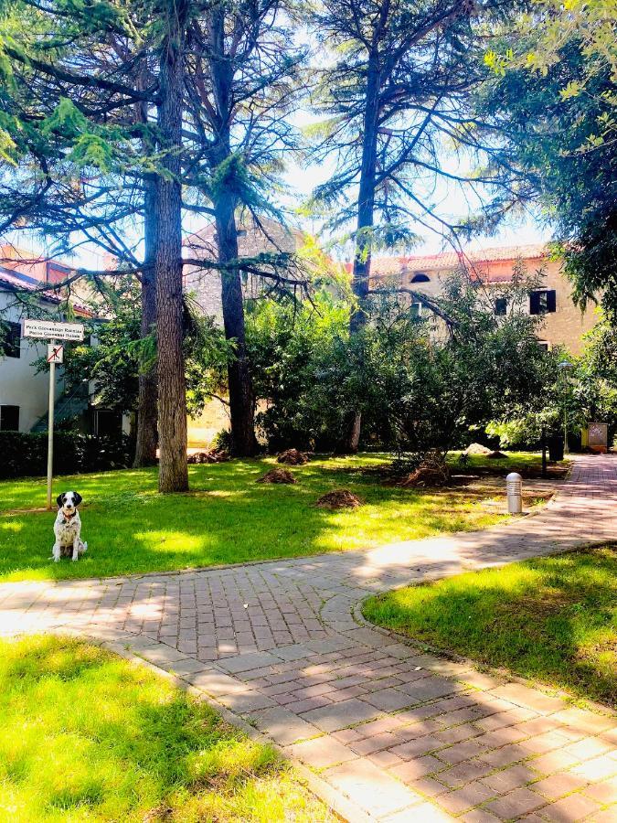 Istria Apartment - 3 Minutes From The Beach Novigrad  Bagian luar foto